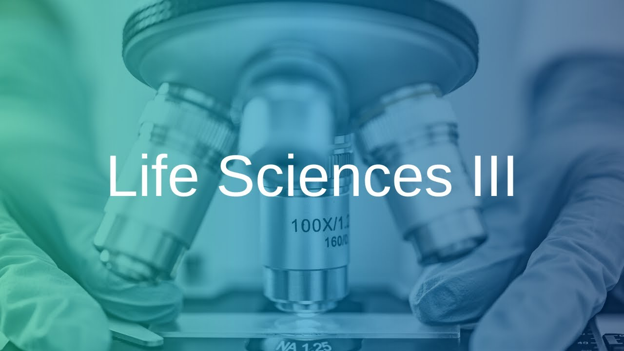 Mecklenburg-Vorpommern: A rising life sciences hub